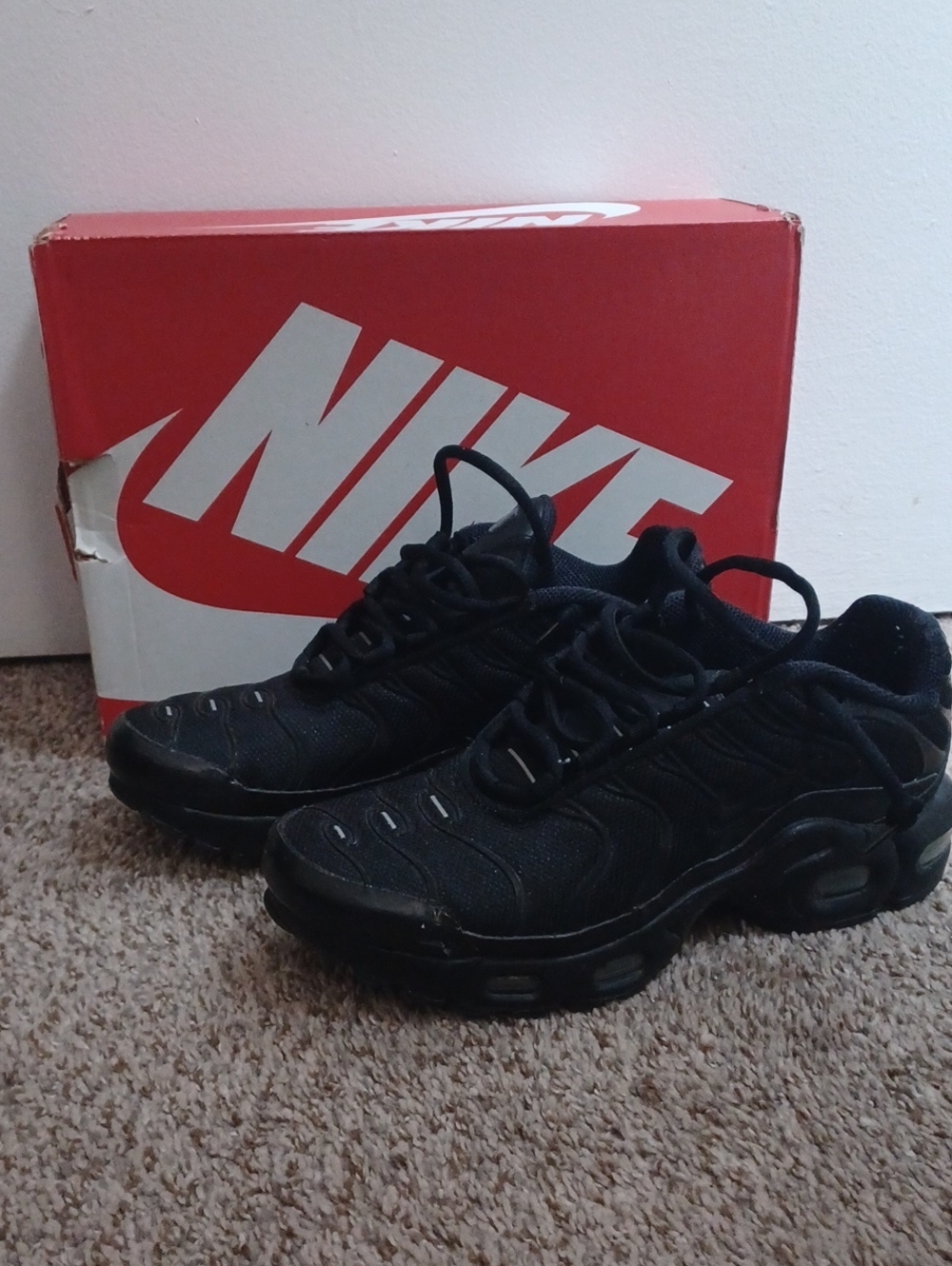 Nike Air Max Plus Sneakers